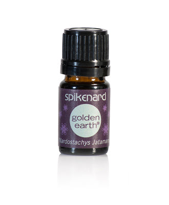 Spikenard Essential Oil Is Soothing, Cooling And Has A Sedative Affect